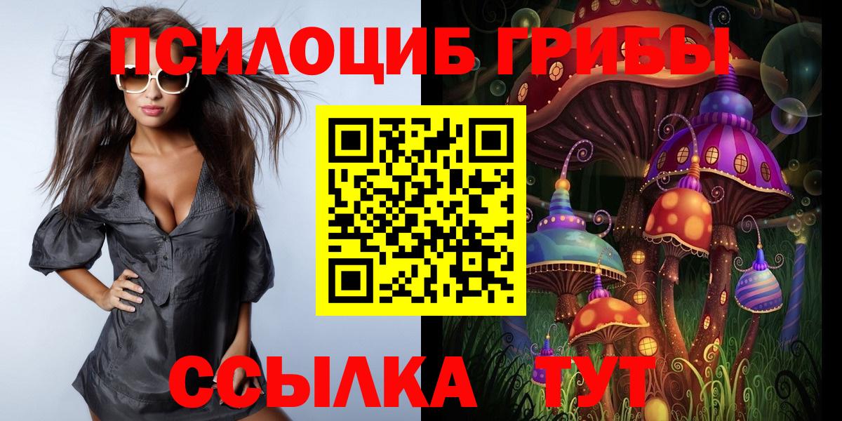 Галлюциногенные грибы Psilocybe Петрозаводск