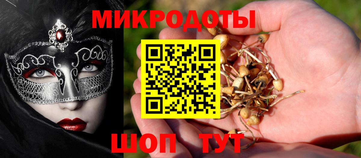 Петрозаводск  Псилоцибиновые грибы ЛСД  что такое   Вход с VPN 